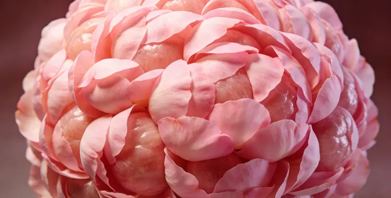 庆阳BRCA1/2乳腺癌卵巢癌基因检测图片1